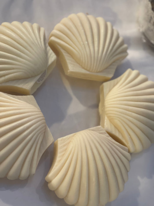 Shell Candle - Large