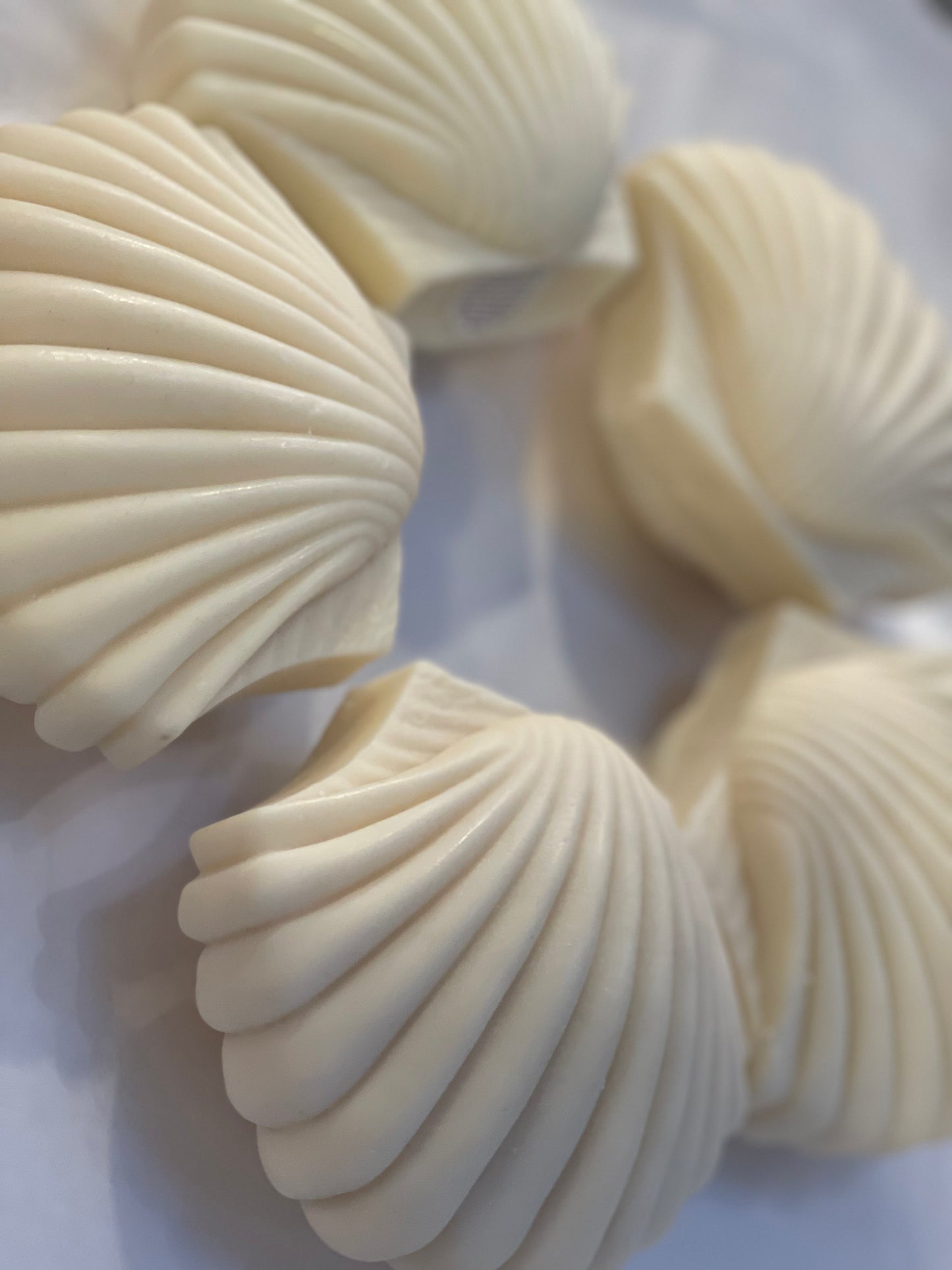 Shell Candle - Large