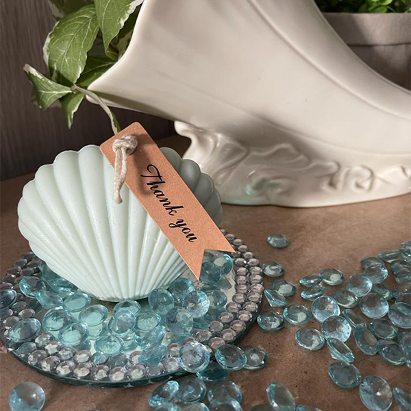 Shell Candle - Medium